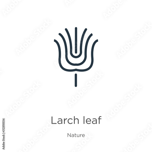 Larch leaf icon. Thin linear larch leaf outline icon isolated on white background from nature collection. Line vector sign, symbol for web and mobile