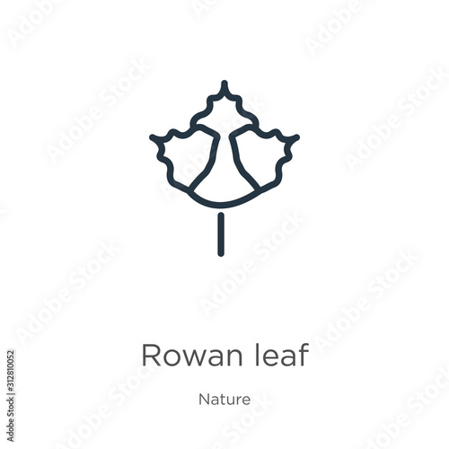 Rowan leaf icon. Thin linear rowan leaf outline icon isolated on white background from nature collection. Line vector sign, symbol for web and mobile