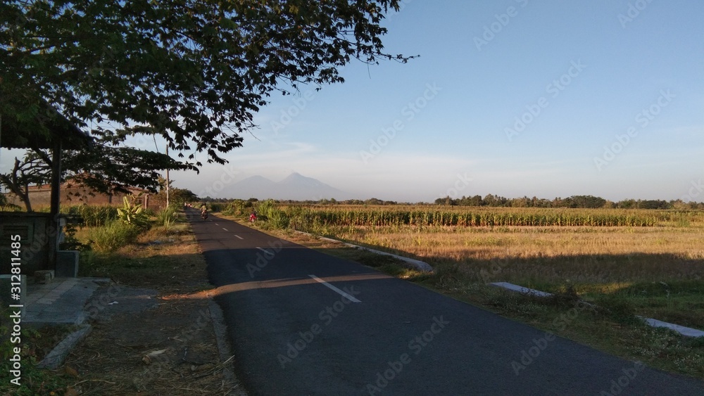 Fototapeta premium landscape with river