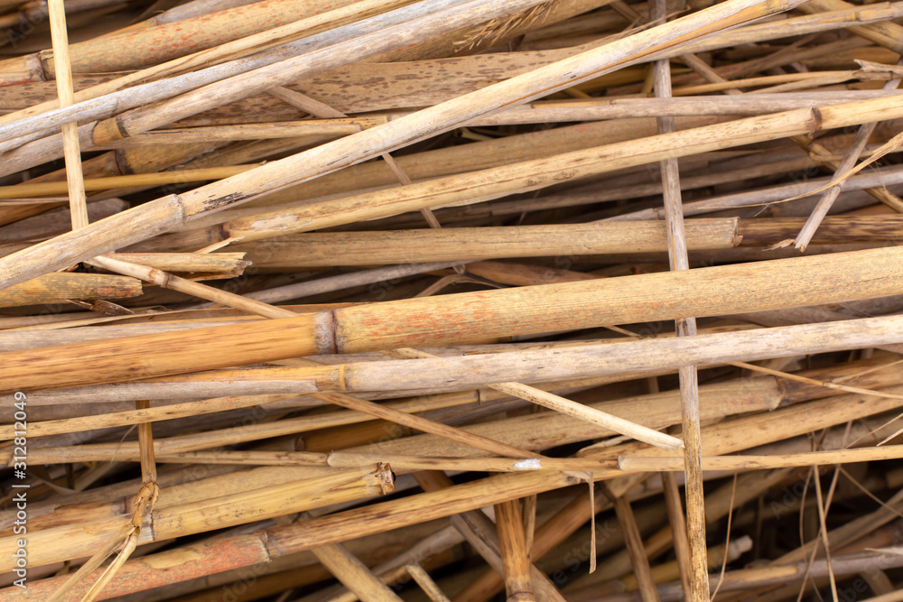 Close-up of a stack of dry reed stalks Close-up of a stack of dry reed stalks