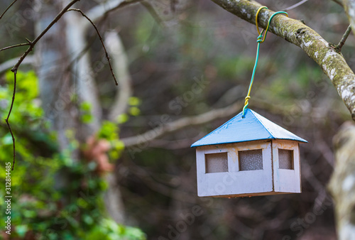 birdhouse on a tree