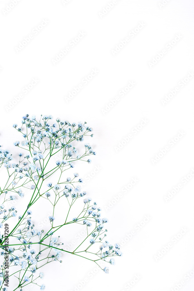Beautiful flower background of blue gypsophila flowers. Flat lay, top view. Floral pattern.