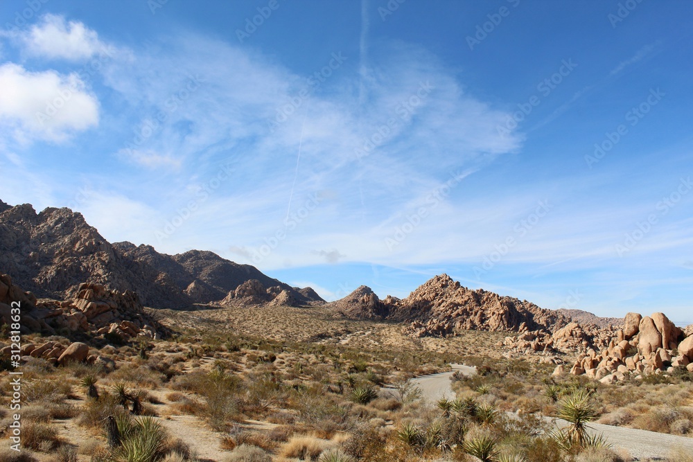This road, through Indian Cove of Joshua Tree National Park, is flanked by native plant communities of the Southern Mojave Desert.