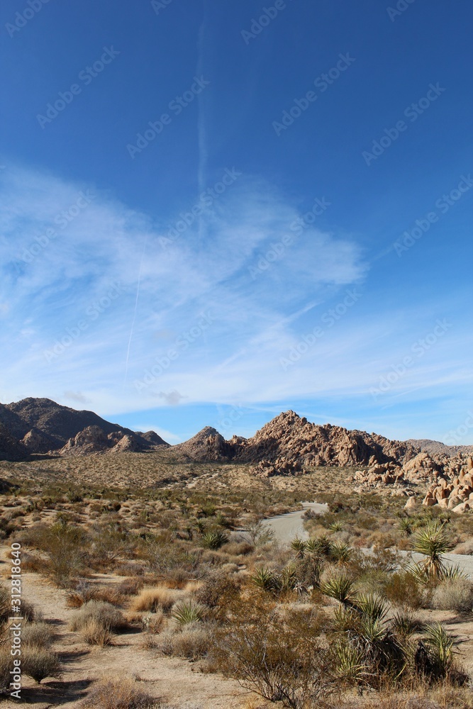This road, through Indian Cove of Joshua Tree National Park, is flanked by native plant communities of the Southern Mojave Desert. This road, through Indian Cove of Joshua Tree National Park, is flanked by native plant communities of the Southern Mojave Desert.