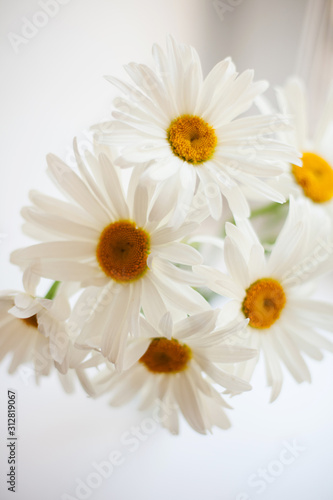  bouquet of wild flowers © DariaTrofimova