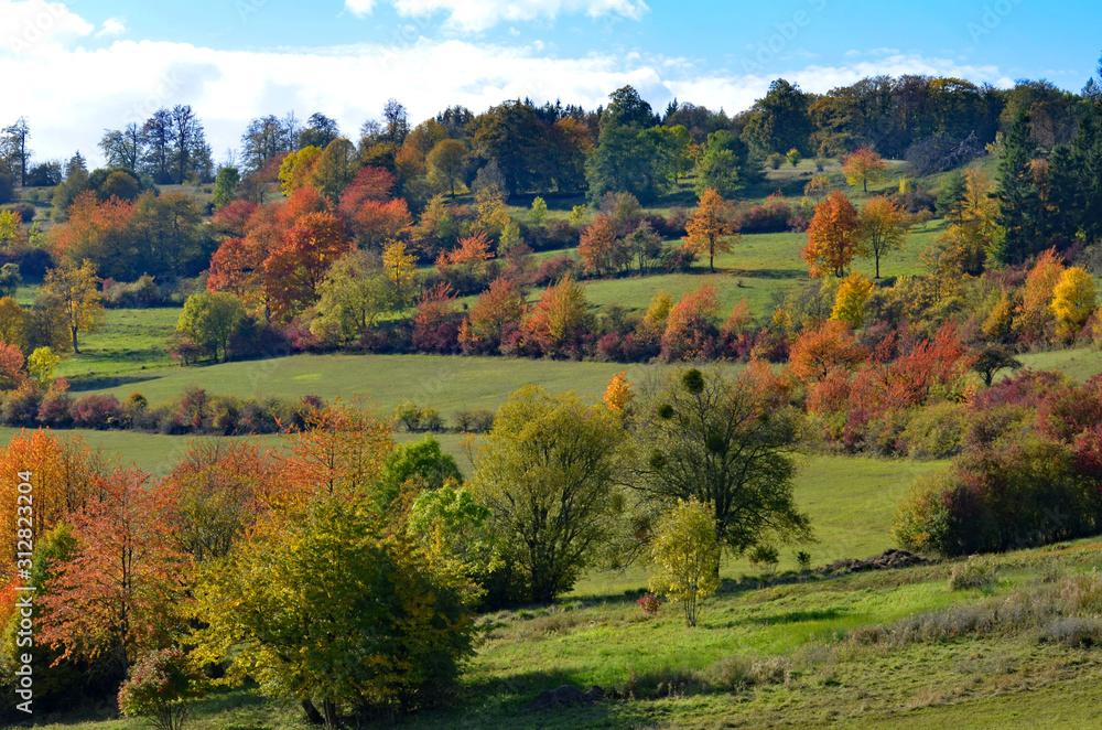 bunter Herbstwald in der Thüringer Rhön