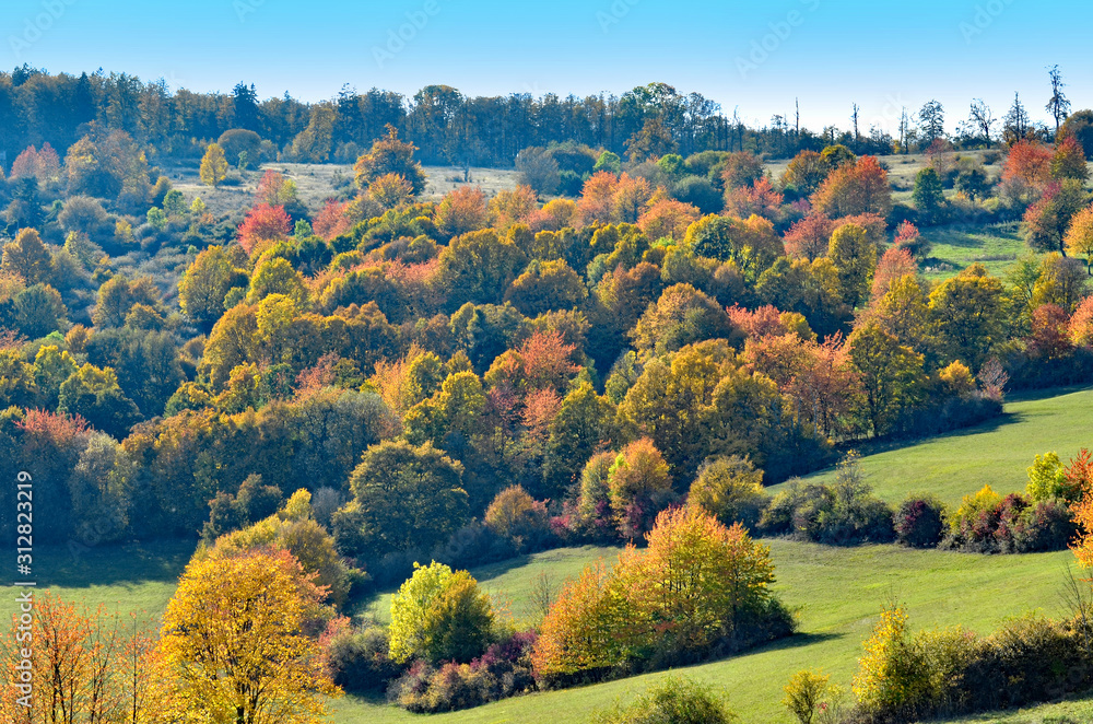 bunter Herbstwald in der Thüringer Rhön