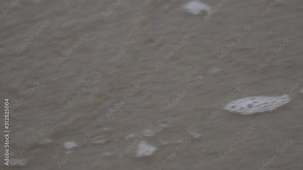 Slow motion of the sea sponge winding a leaf that remains dry on the sand of the beach Slow motion of the sea sponge winding a leaf that remains dry on the sand of the beach
