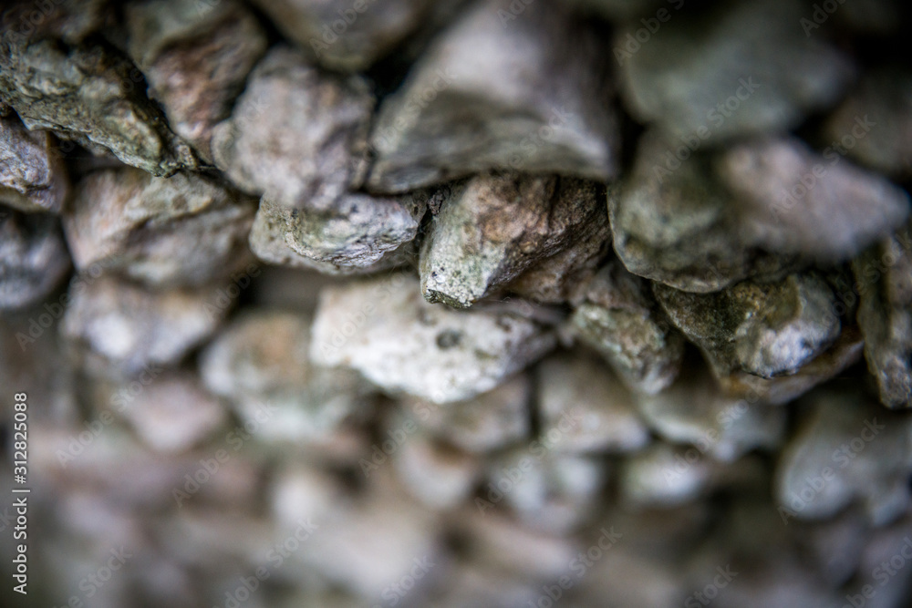 close up of nuts close up of nuts