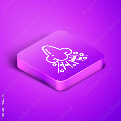 Isometric line Runny nose icon isolated on purple background. Rhinitis symptoms, treatment. Nose and sneezing. Nasal diseases. Purple square button. Vector Illustration