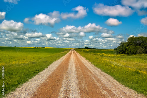 Prairie field road in rural Saskatchewan Canada