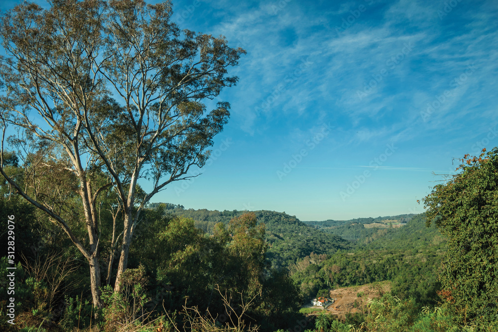 Landscape of valley with hills covered by forest Landscape of valley with hills covered by forest