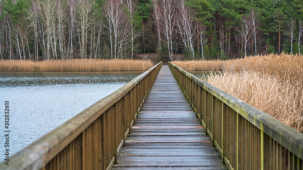 Naklejka premium Braunsteich