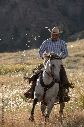 Ranch Cowboy