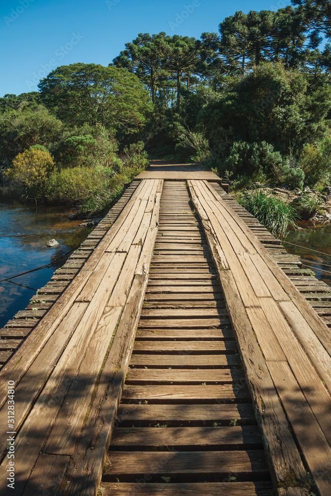 Wooden bridge over creek and trail through forest