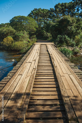 Wooden bridge over creek and trail through forest © Celli07