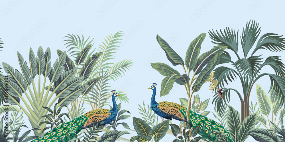 peacock border wallpaper
