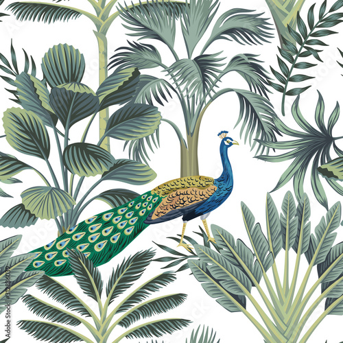 Tropical vintage peacock bird, palm tree and plant floral seamless pattern white background. Exotic jungle wallpaper.