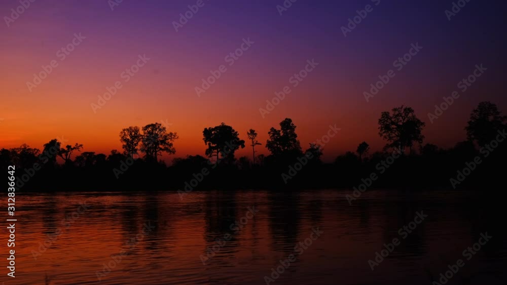 Trees silhouettes during sunset. on river. Trees silhouettes during sunset. on river.