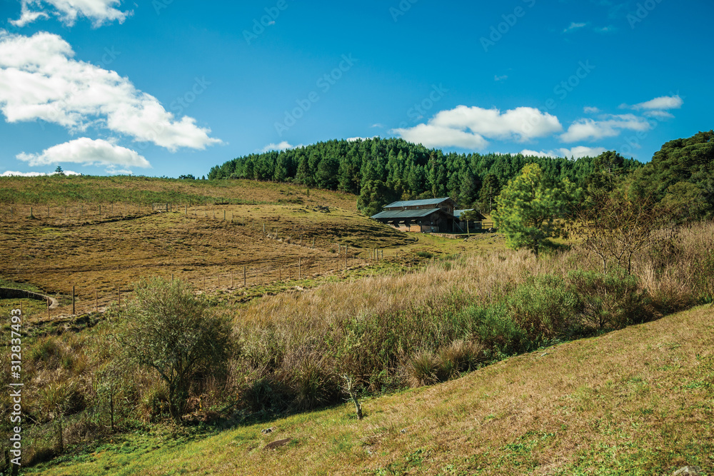 Naklejka premium House on hill with dry bushes and green grove