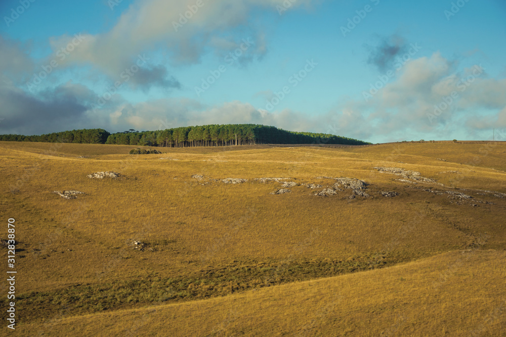 Landscape of rural lowlands called Pampas