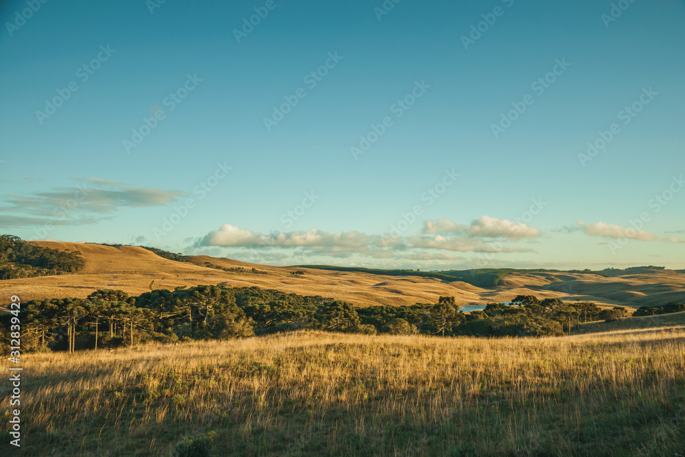 Landscape of rural lowlands called Pampas Landscape of rural lowlands called Pampas