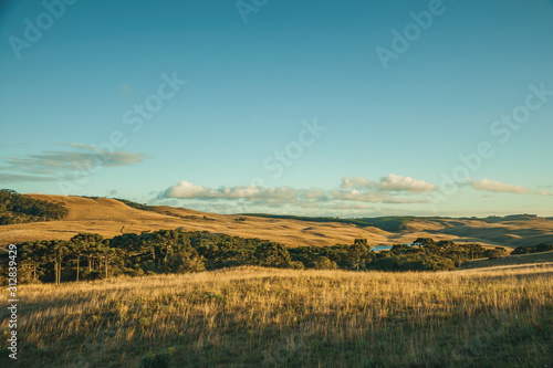 Fotografia Landscape of rural lowlands called Pampas