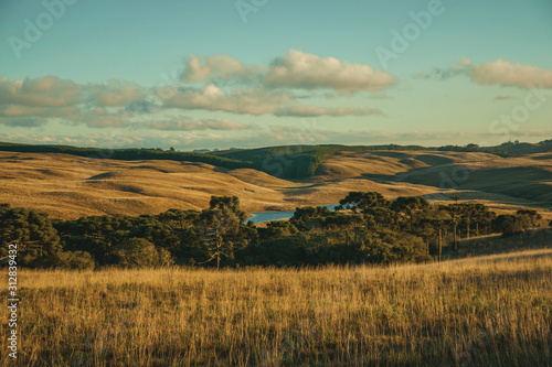 Landscape of rural lowlands called Pampas