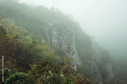 Steep rocky cliff with bushes and mist