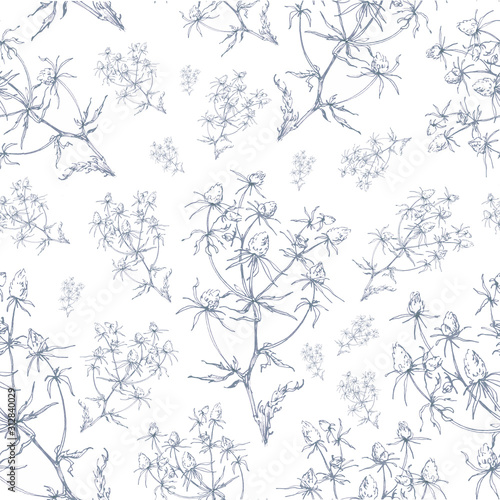 Seamless white background with blue thistle twigs. Ornament of wild plant silhouettes. Tender summer background with leaves and flowers.