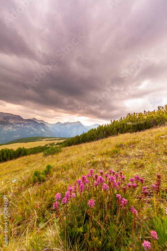 Summer mountain landscape in a wild, remote, area in the Transylvanian Alps.
