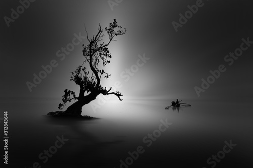 silhouette of a tree on the beach © iD's