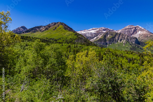 Rocky Mountains, Wasatch Range, Mount Timpanogos wilderness area, Utah, USA.