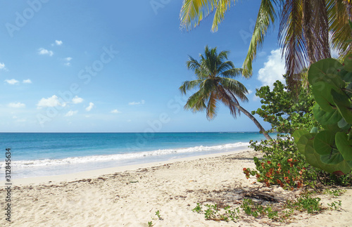 Paradise beach with turquoise blue Caribbean sea. Sand beach In Tropical landscape.
