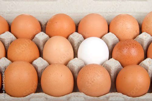 Close up on Carton of brown eggs with one white egg.