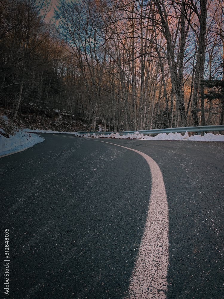 Fototapeta premium road in winter