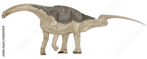 サルタサウルス　南米(アルゼンチン）の白亜紀後期の地層から発見された中型の恐竜。竜脚類としては中型の草食恐竜。背中に装甲をもつティタノサウルスの仲間。皮膚の印象化石では細かい骨質の粒が皮膚を装甲化し、その中に大小の骨板が散らばっている防御装甲を持っている。全長は12メートル。 © Mineo