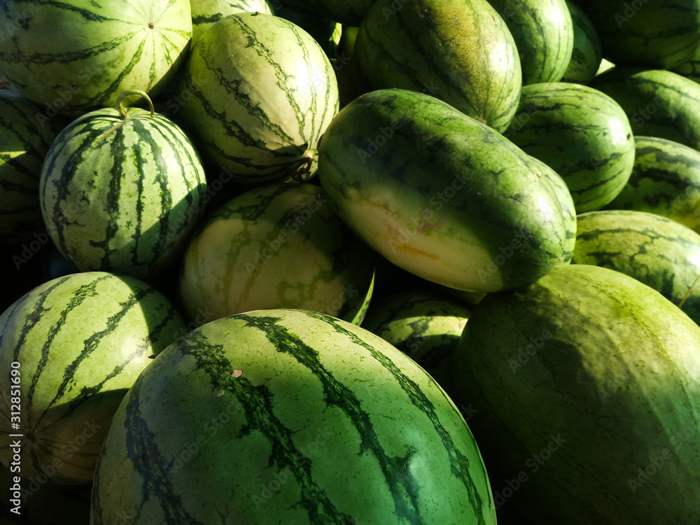 ripe crop of watermelons lies outdoors for future sale ripe crop of watermelons lies outdoors for future sale