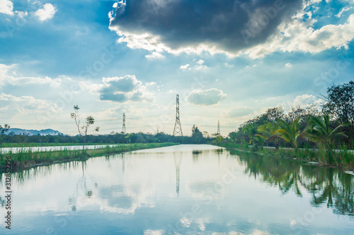 landscape with river and trees