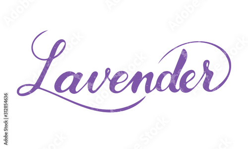 Vector hand written lavender text isolated on white background. Kitchen healthy herbs and spices for cooking. Script brushpen lettering with flourishes. Handwriting for banner, poster, product label