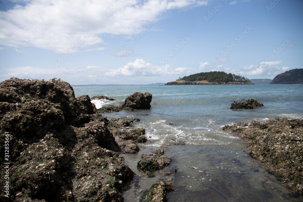 puget sound tide and rocks