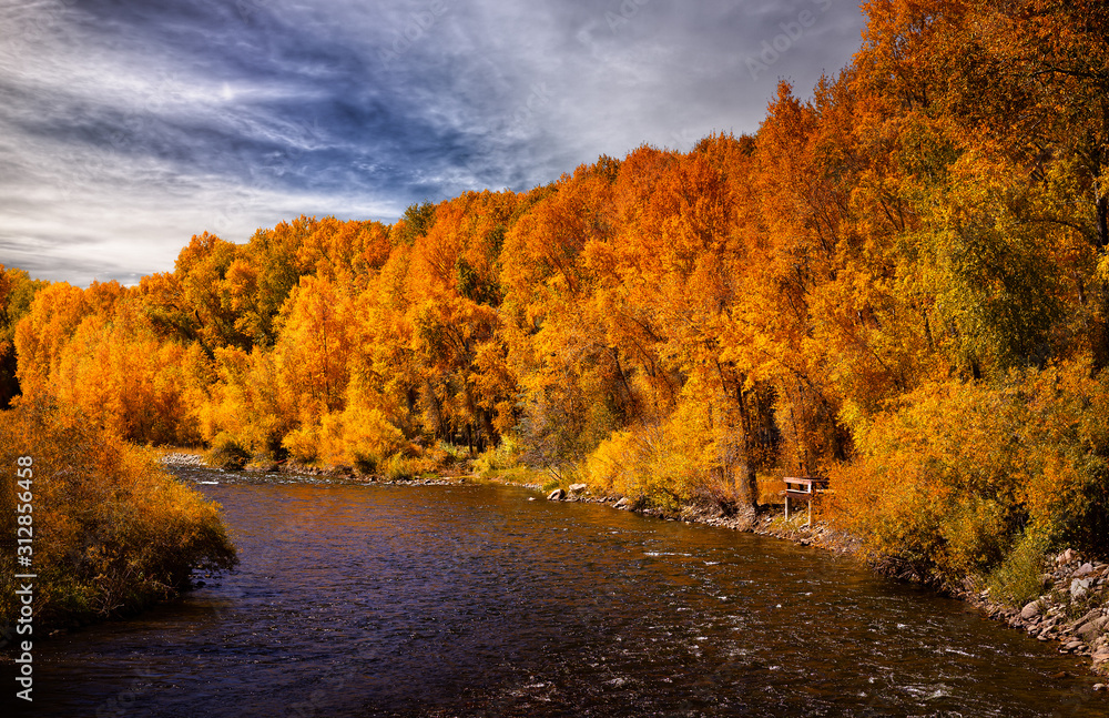 Aspen leaves changing color along a river.  There is a small wooden dock on the water. The sky is blue with clouds. 