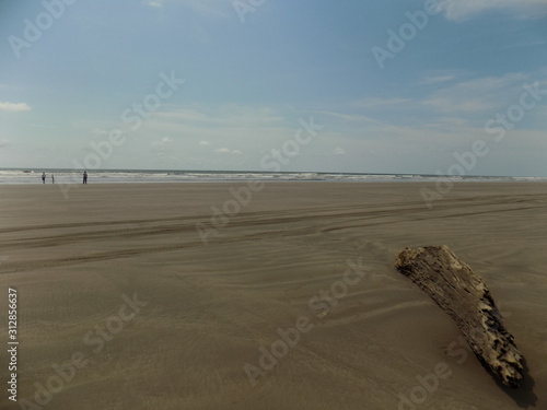 Ecosistema playero