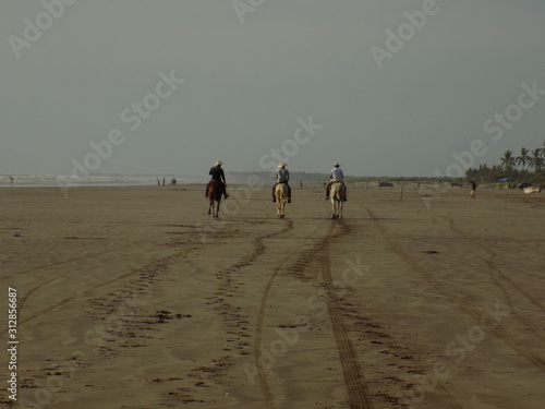 Ecosistema playero