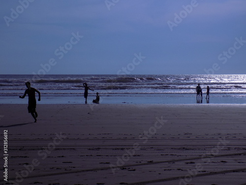 Ecosistema playero