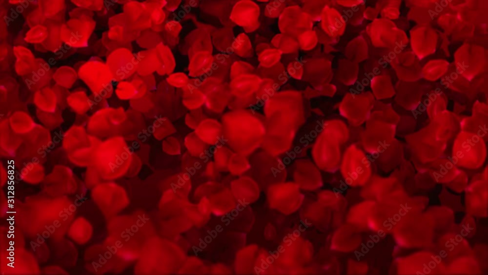 Red Rose Petals Falling Slowly Romantic Wedding Animated Background Red Rose Petals Falling Slowly Romantic Wedding Animated Background