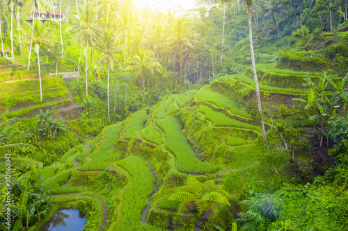 View from above, stunning aerial view of the Tegalalang rice terrace fields during sunrise. Tegalalang rice fields are a series of rice paddies located close to Ubud, in the centre of Bali, Indonesia.