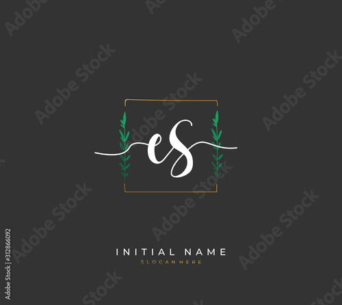 Handwritten letter E S ES for identity and logo. Vector logo template with handwriting and signature style.