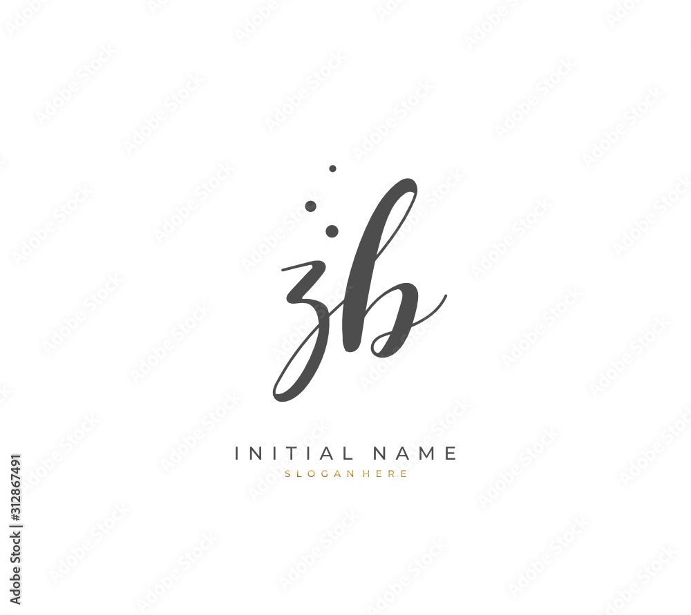 Handwritten letter Z B ZB for identity and logo. Vector logo template with handwriting and signature style. Handwritten letter Z B ZB for identity and logo. Vector logo template with handwriting and signature style.