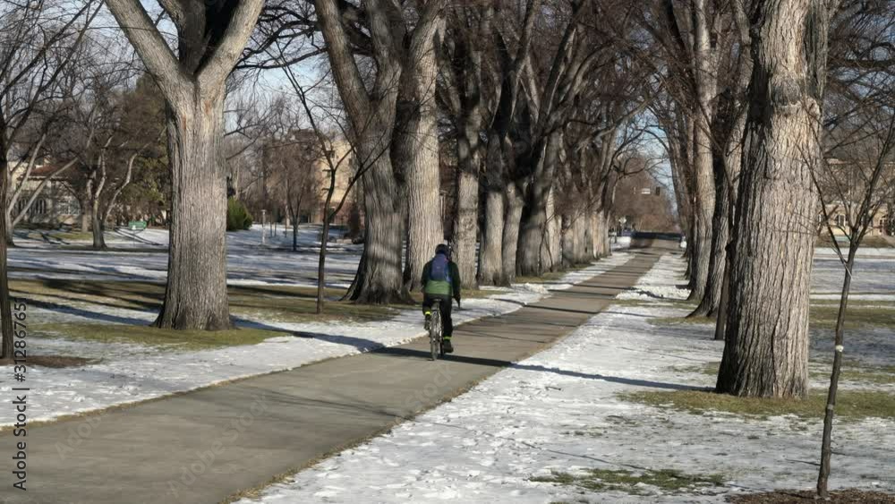 Male cyclist with a backpack is riding a touring bike along alley with old elm trees in winter scenery, recreation or commuting concept. Male cyclist with a backpack is riding a touring bike along alley with old elm trees in winter scenery, recreation or commuting concept.